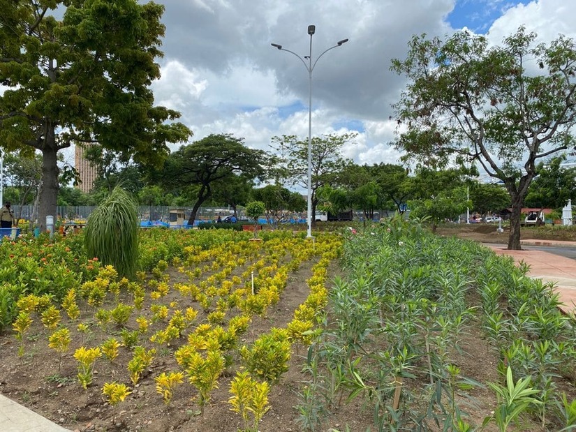parque